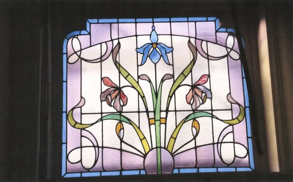Renovitro